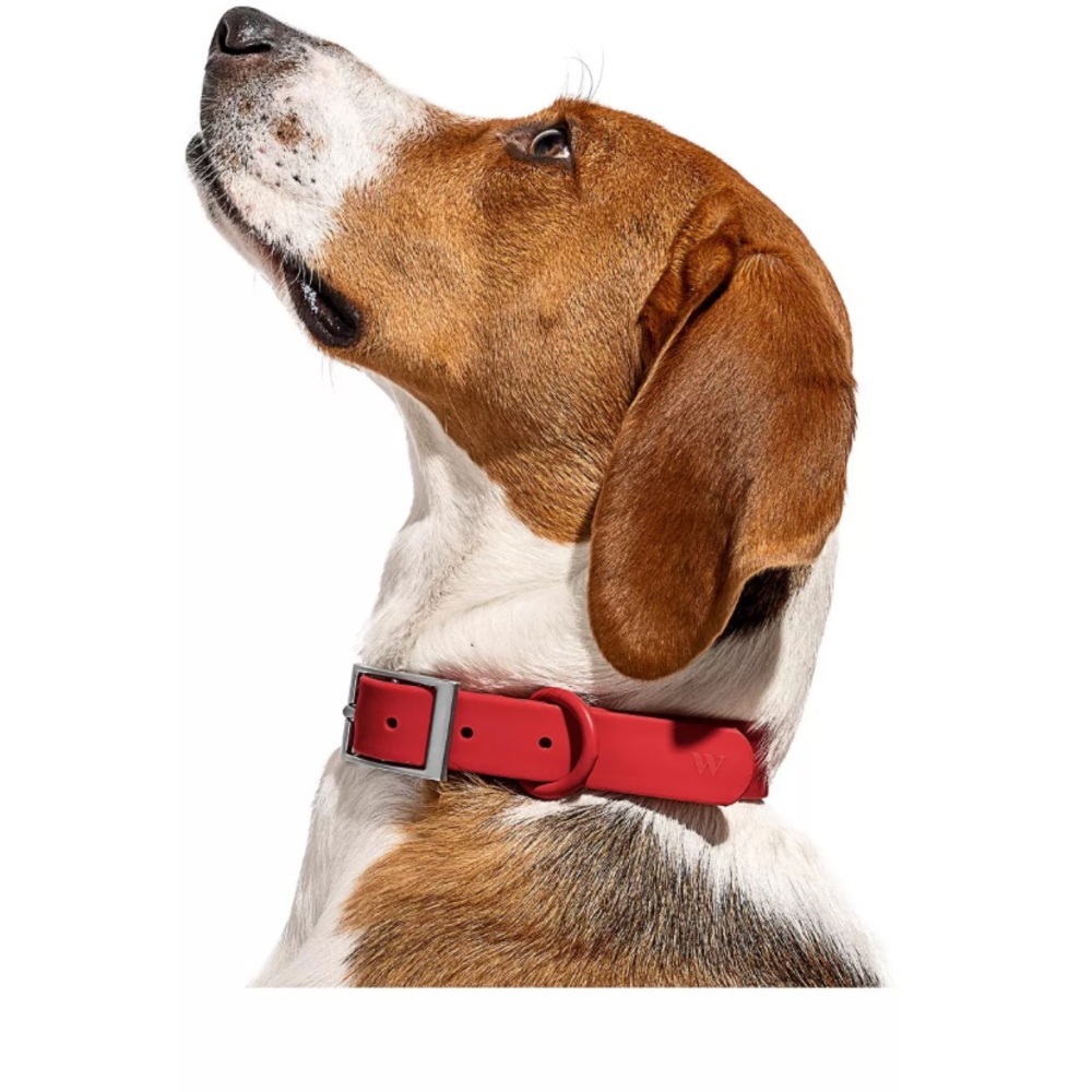 LARGE strawberry wild one collar